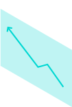 Netra Tech Solutions